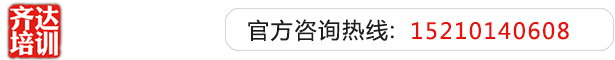 超清精品插逼齐达艺考文化课-艺术生文化课,艺术类文化课,艺考生文化课logo